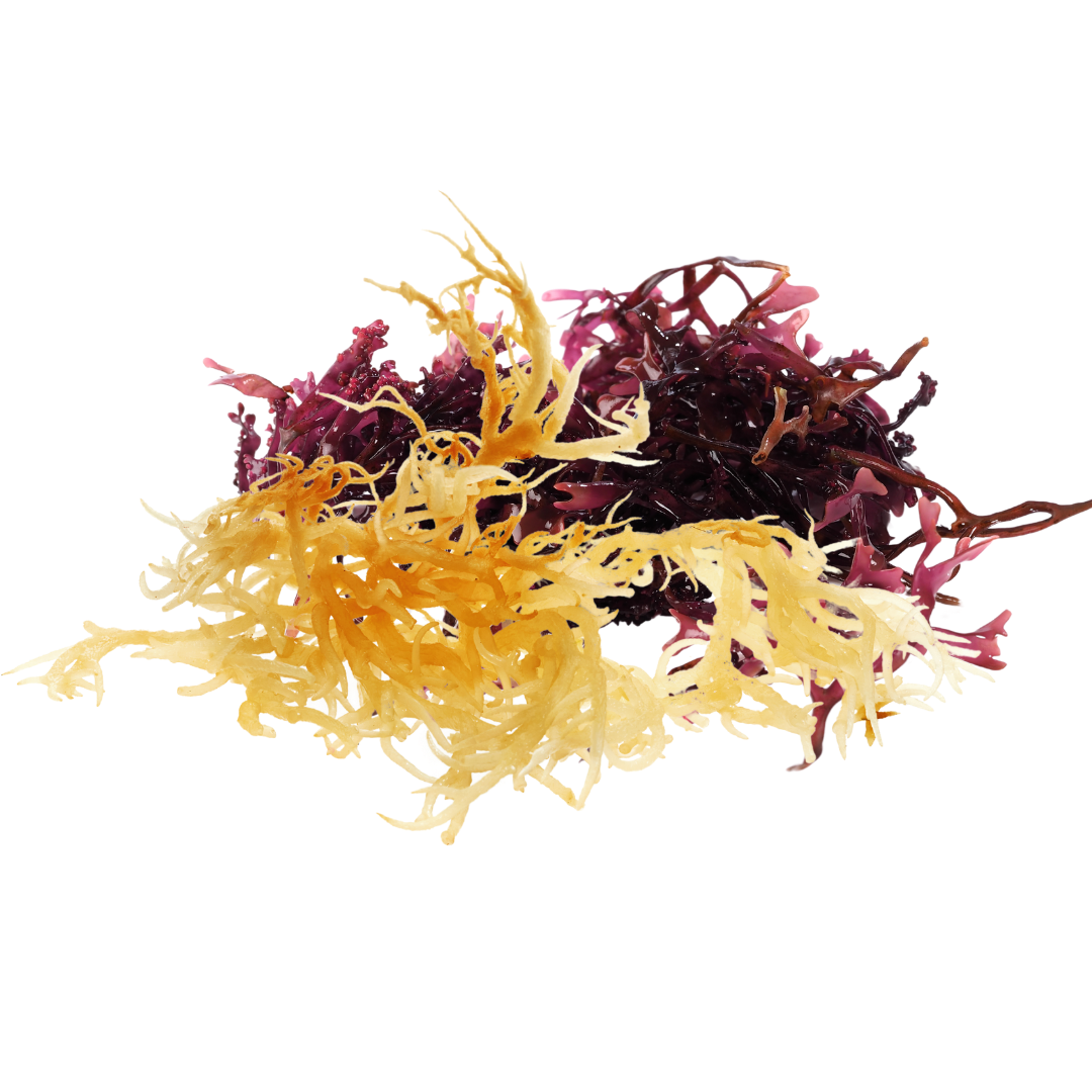 Nature's Hidden Treasure for Your Health!